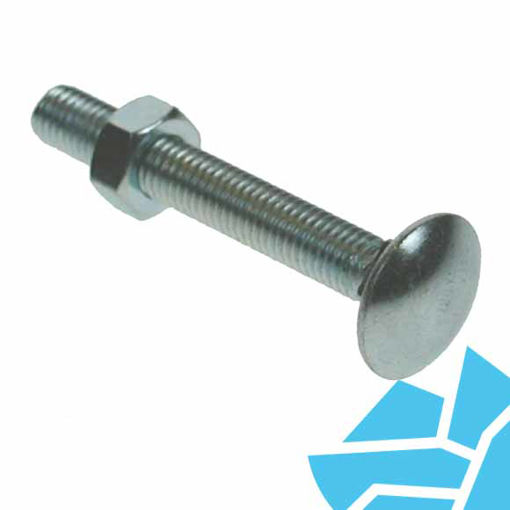 Picture of M10 x 100mm BZP Coach Bolt and Nut (loose)