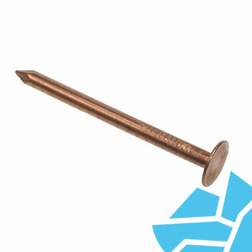 Picture of 30mm x 2.65mm Copper Clout Nails 1kg