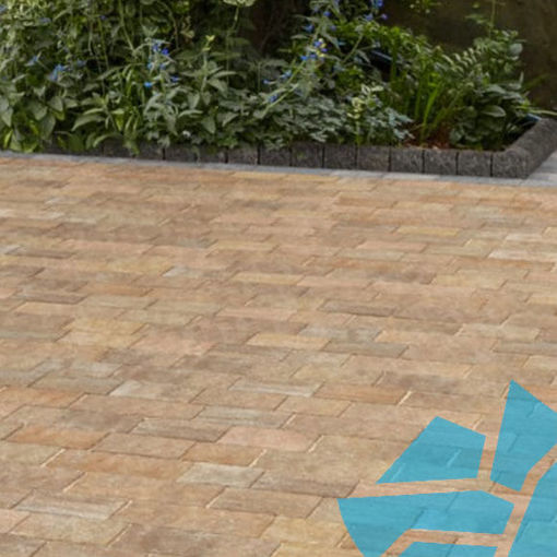 Picture of Trident Small  Forest Blend Block Paving 120 x 160 x 50mm