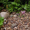 Scottish pebbles for sale in Peterborough