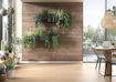 Picture of EGGER DecoWall Natural Annaba Oak Decorative Wall Panel 1250x660x12mm
