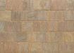 Picture of Trident Small Forest Blend Block Paving Paviors 120x160 x 50mm