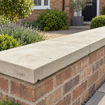 Picture of Concrete Once Weathered Coping Stone 405x915mm (16x36")