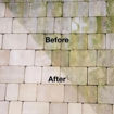 Picture of Pavestone Black Spot, Algae & Lichen Remover 5L - Patio & Paving Cleaner